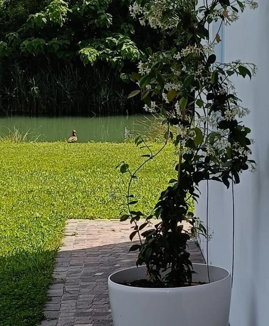 Locazione Riv'Al Sile Hotel Quinto Di Treviso Italy